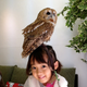 Image for article titled Who Thinks Japan's Owl Cafes Are a Hoot?